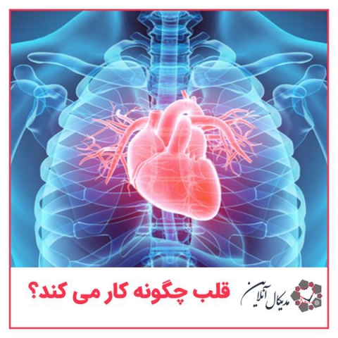 قلب چگونه کار می کند؟